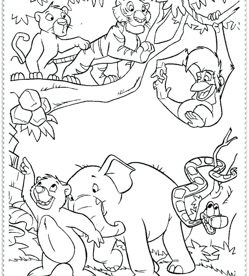 810x900 Jungle Coloring Pages Printable