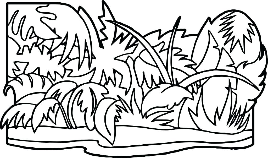 1024x603 Jungle Coloring Page Baby Jungle Animal Coloring Pages To Print