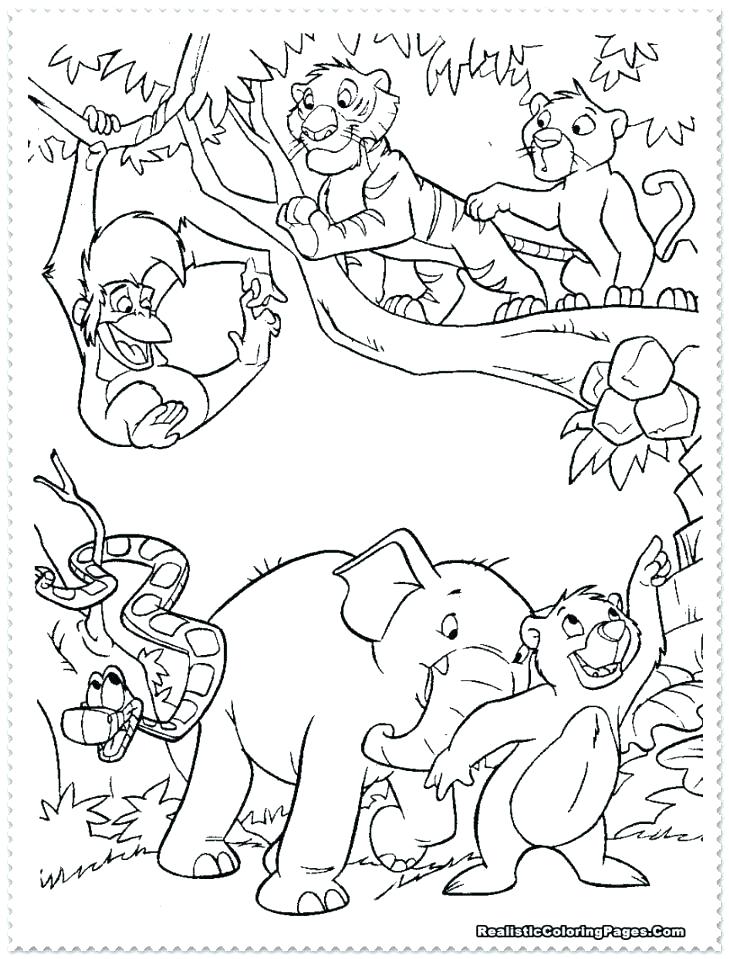 729x959 Safari Animal Coloring Pages Safari Animal Coloring Pages Book