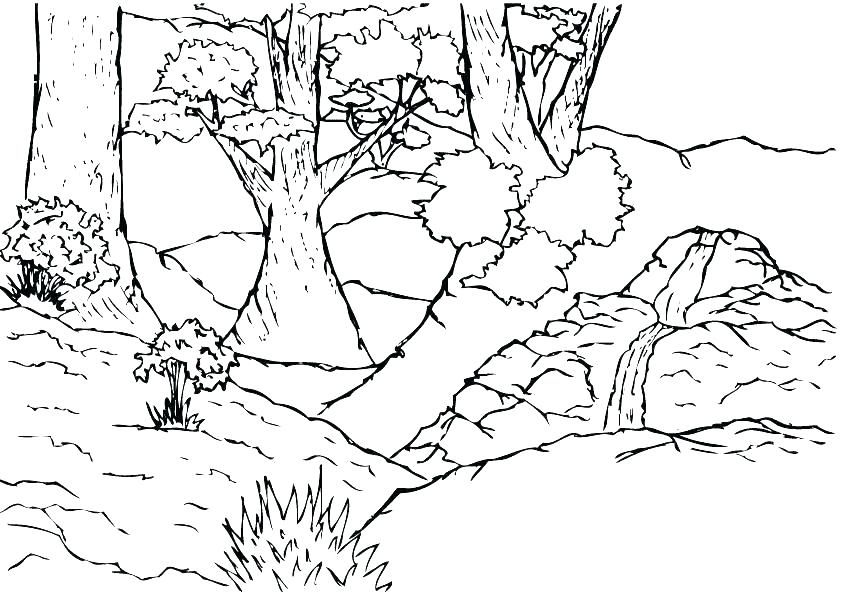 842x595 Jungle Coloring Pages Printable Vanda