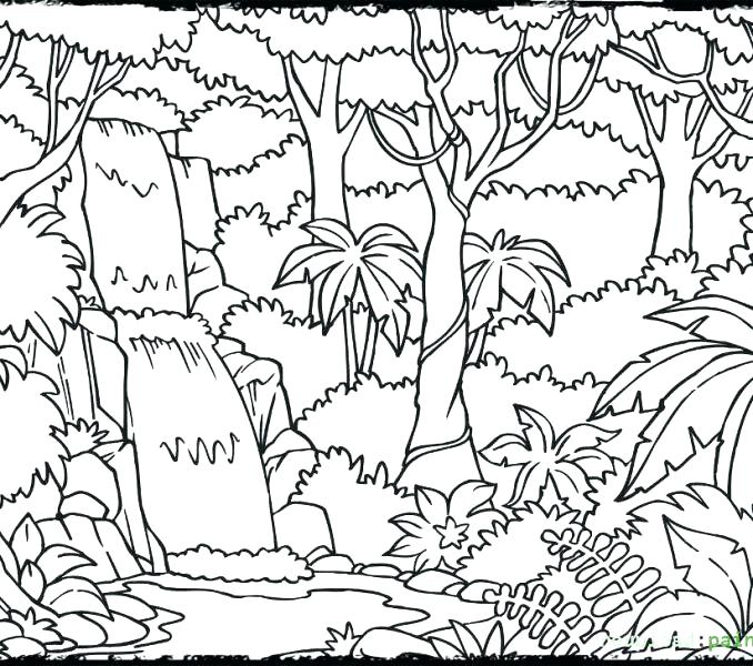 678x600 Jungle Coloring Page Jungle Coloring Page Jungle Printable