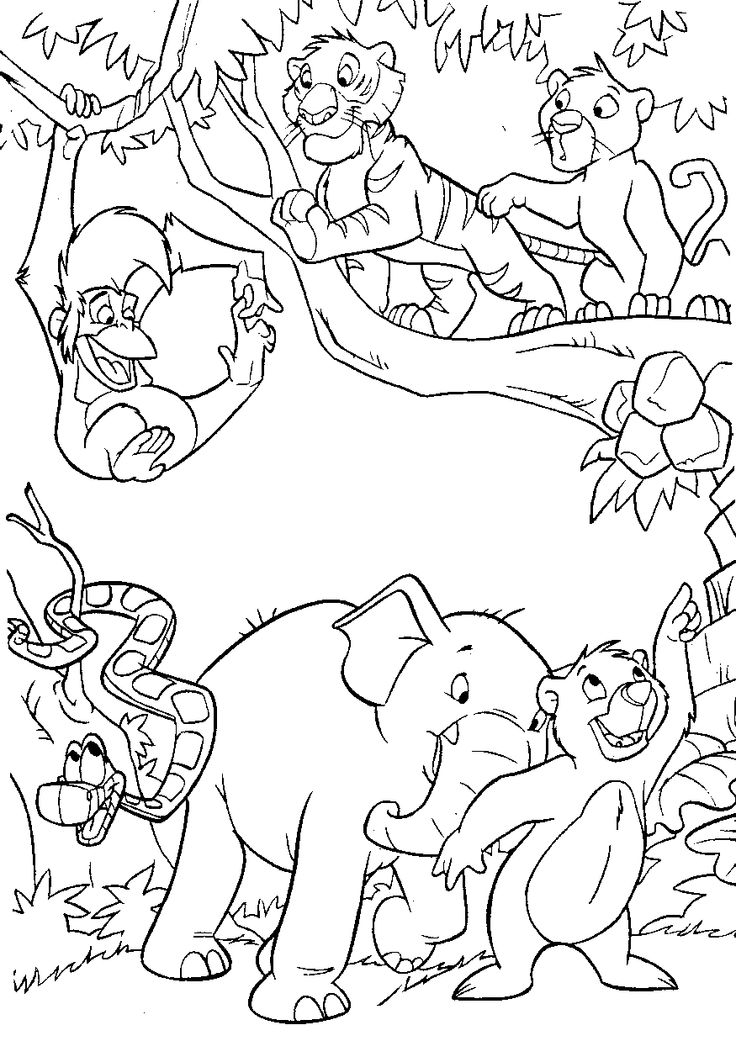 736x1041 Coloring Pages Jungle Coloring Book
