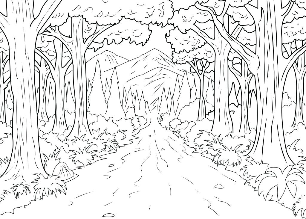 1024x731 Forest Coloring Page Coloring Pages For Kids Collection Printable