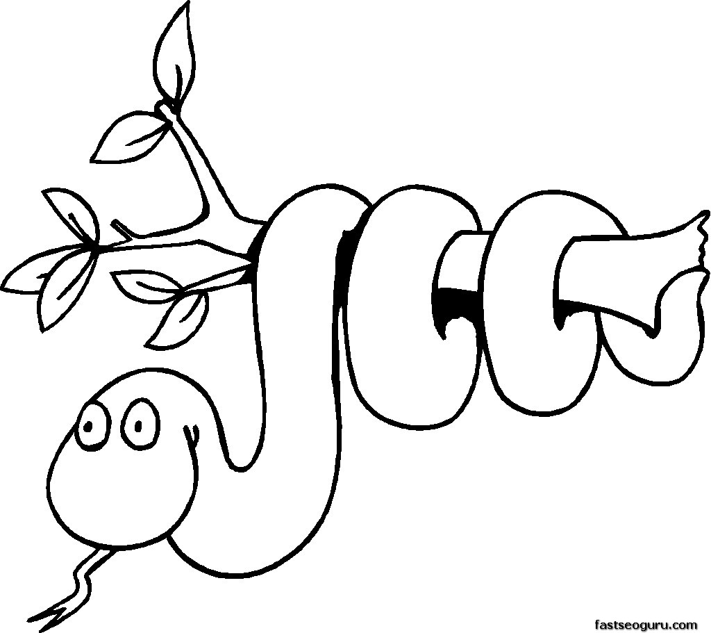 1024x911 Jungle Animal Coloring Pages