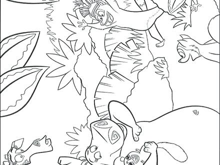 440x330 Jungle Animals Coloring Pages With Jungle Animals Coloring Pages