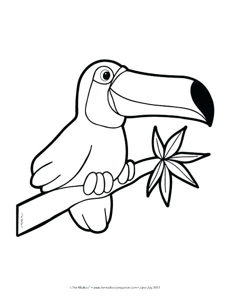 460x597 Rainforest Animal Coloring Pages Forest Animals Coloring Pages