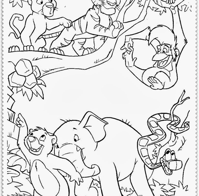 810x800 Jungle Coloring Book Pages More To Color For Adults Printable