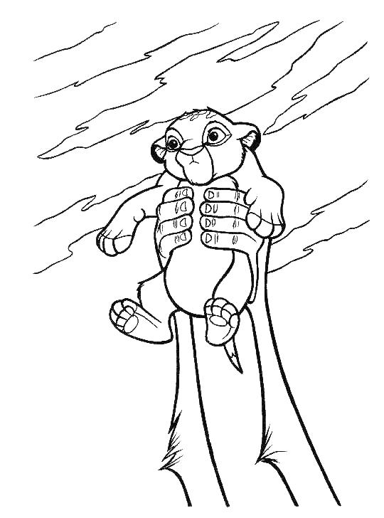 540x728 The Lion King Coloring Page Coloring Printables