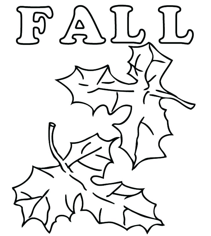 728x813 Coloring Pages Of Leaves Palm Leaf Coloring Page Coloring Page