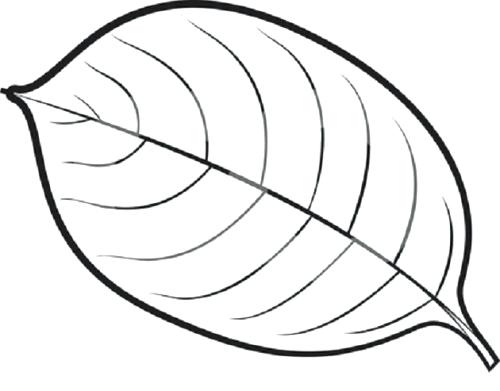 500x391 Free Printable Leaf Coloring Pages Jungle Leaves Coloring Pages