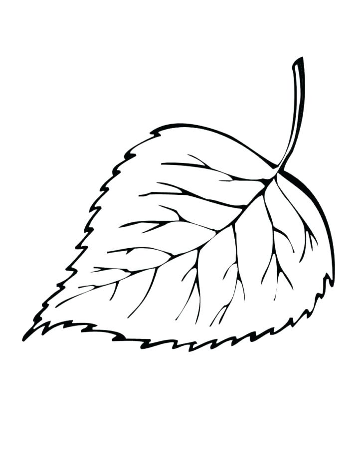 728x941 Printable Leaves Coloring Pages Jungle Leaves Coloring Pages
