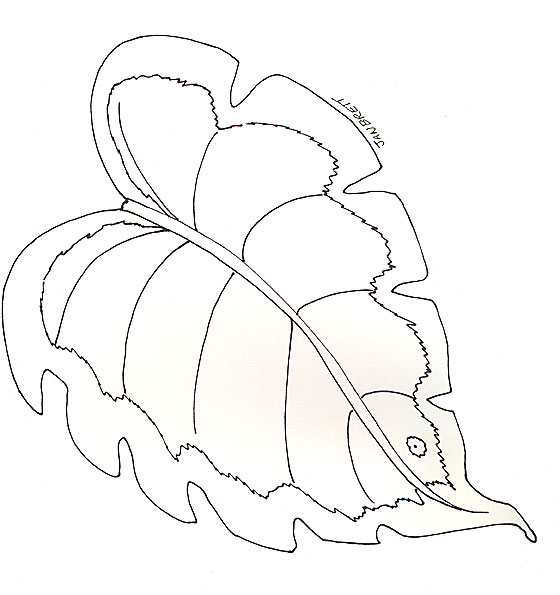 560x595 Rainforest Leaves Coloring Pages