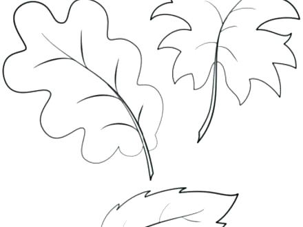 440x330 Jungle Leaves Colouring Pages