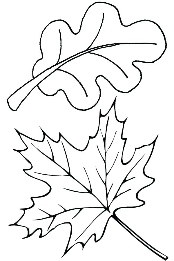 600x900 Leaves Coloring Pages
