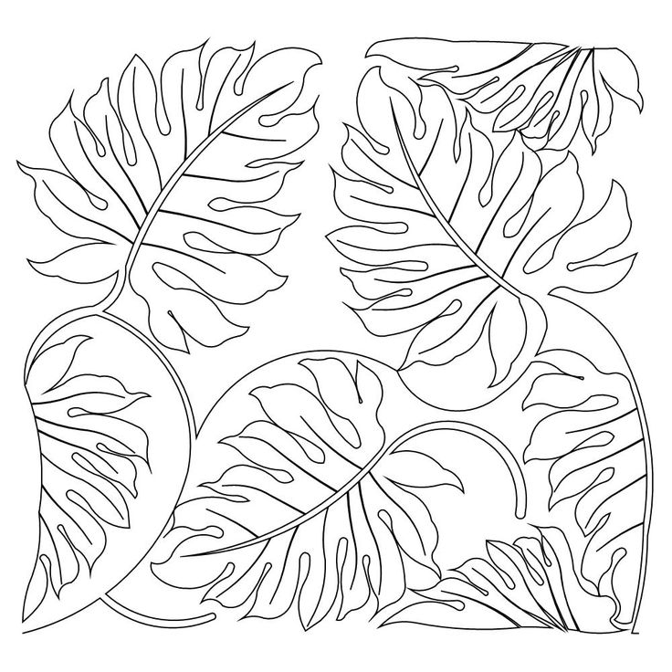 736x736 Lion Habitat Coloring Pictures