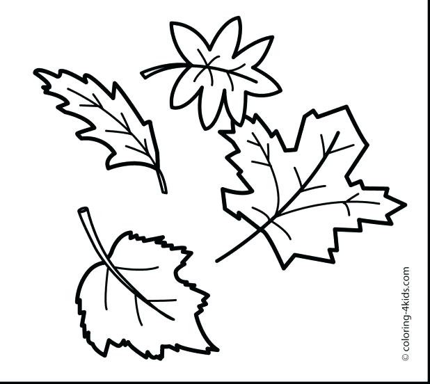 618x552 Coloring Fascinating Printable Leaf Template Printable Leaf