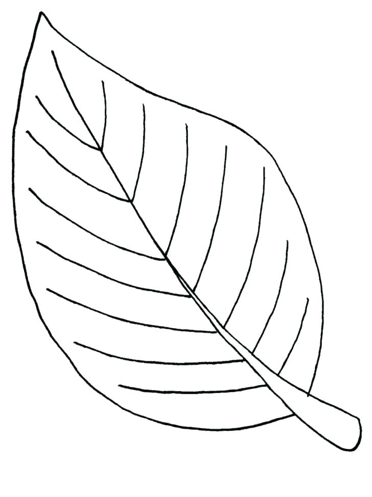 728x971 Coloring Pages Leaves Leaf Coloring Coloring Page Leaf