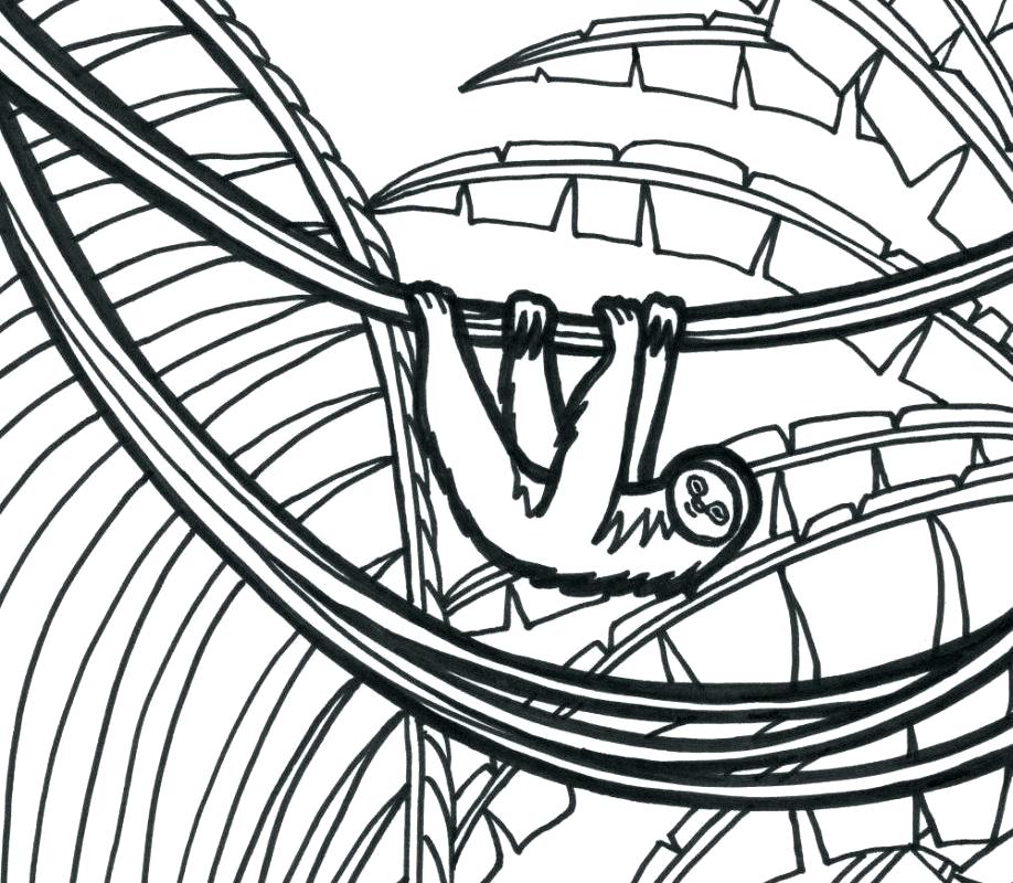 918x800 Plant Coloring Pages Coloring Pages Drawn Jungle Plants Coloring