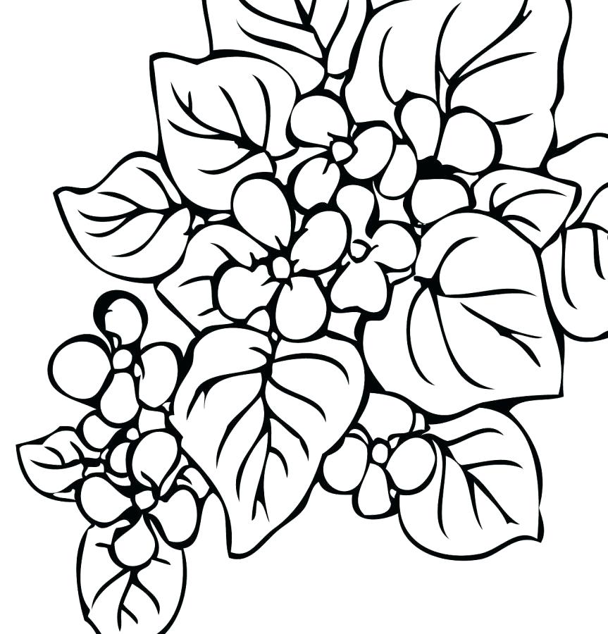 863x900 Plant Coloring Pages Drawn Jungle Pencil And In Download Free