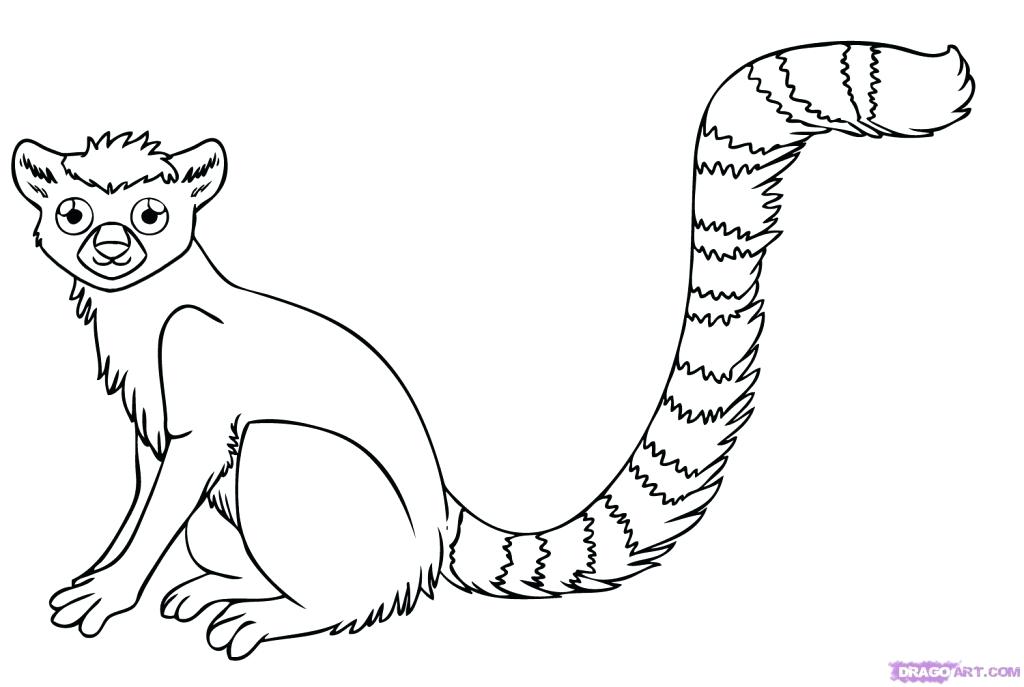 1024x687 Rainforest Animal Coloring Pages Jungle Animals Drawing Animals