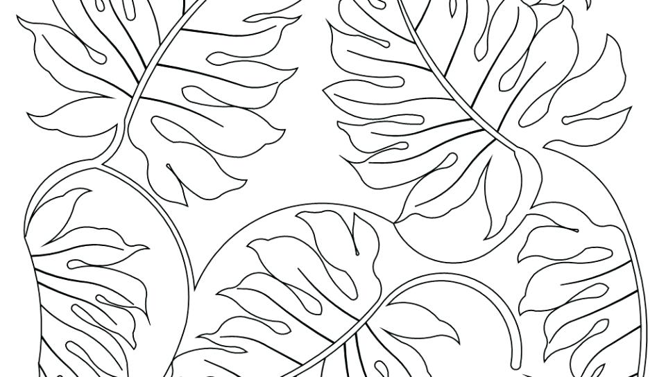 960x544 Rainforest Plants Coloring Pages Animals In The Coloring Pages