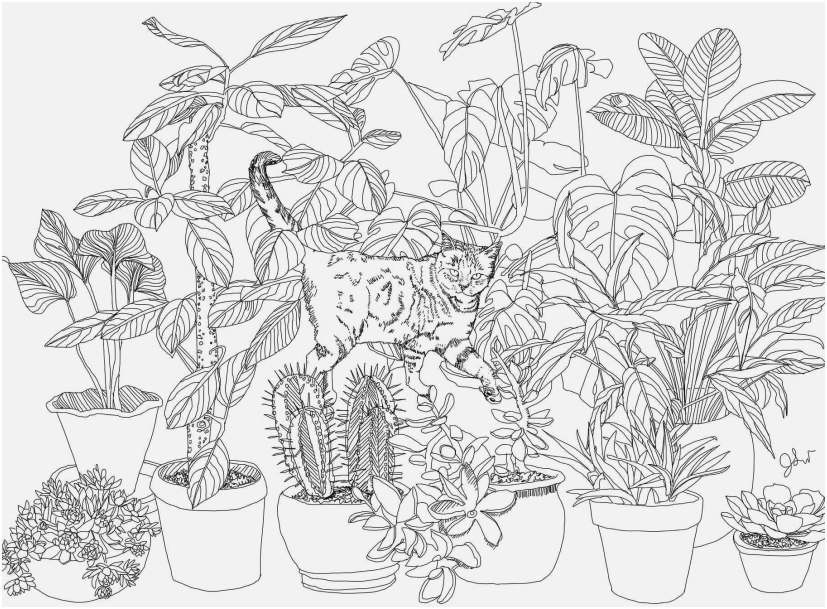 827x609 Coloring Pages Jungle Shoot Jungle Plants Coloring Pages