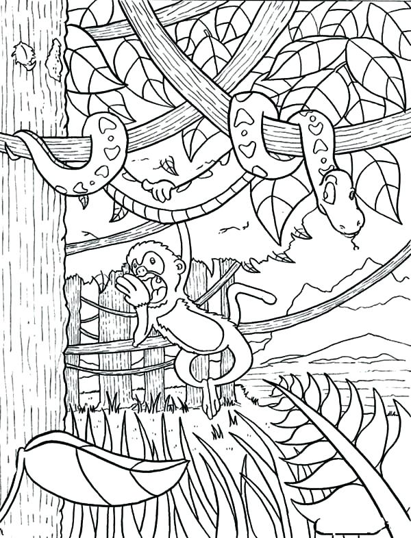 600x786 Coloring Pages And Coloring Books Jungle Printable Coloring Pages