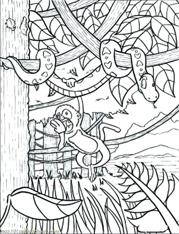 600x786 Jungle Animal Coloring Pages Jungle Animal Coloring Pages Jungle