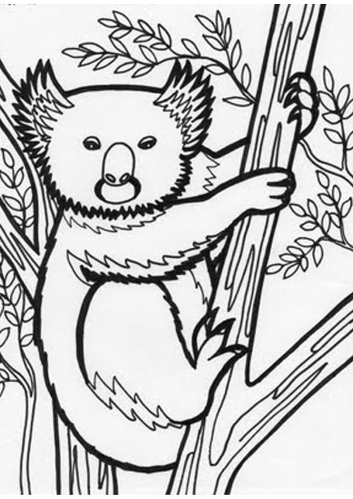 724x1024 Best Photos Of Jungle Trees Coloring Pages Jungle Scene Coloring