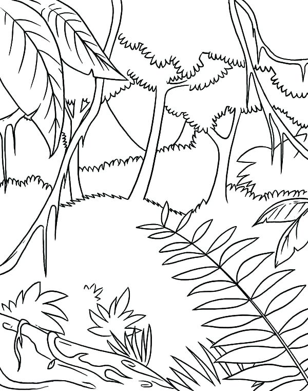 600x761 Jungle Coloring Page Coloring Sheets Awesome Tropic Coloring Page