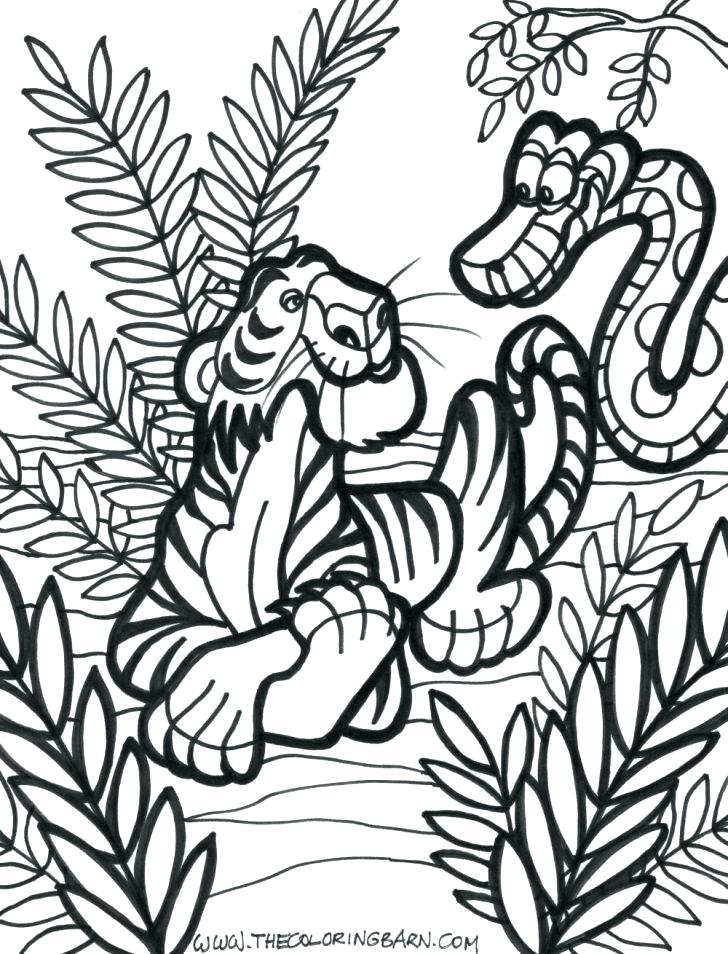 728x954 Power Rangers Jungle Fury Coloring Pages Jungle Printable Coloring