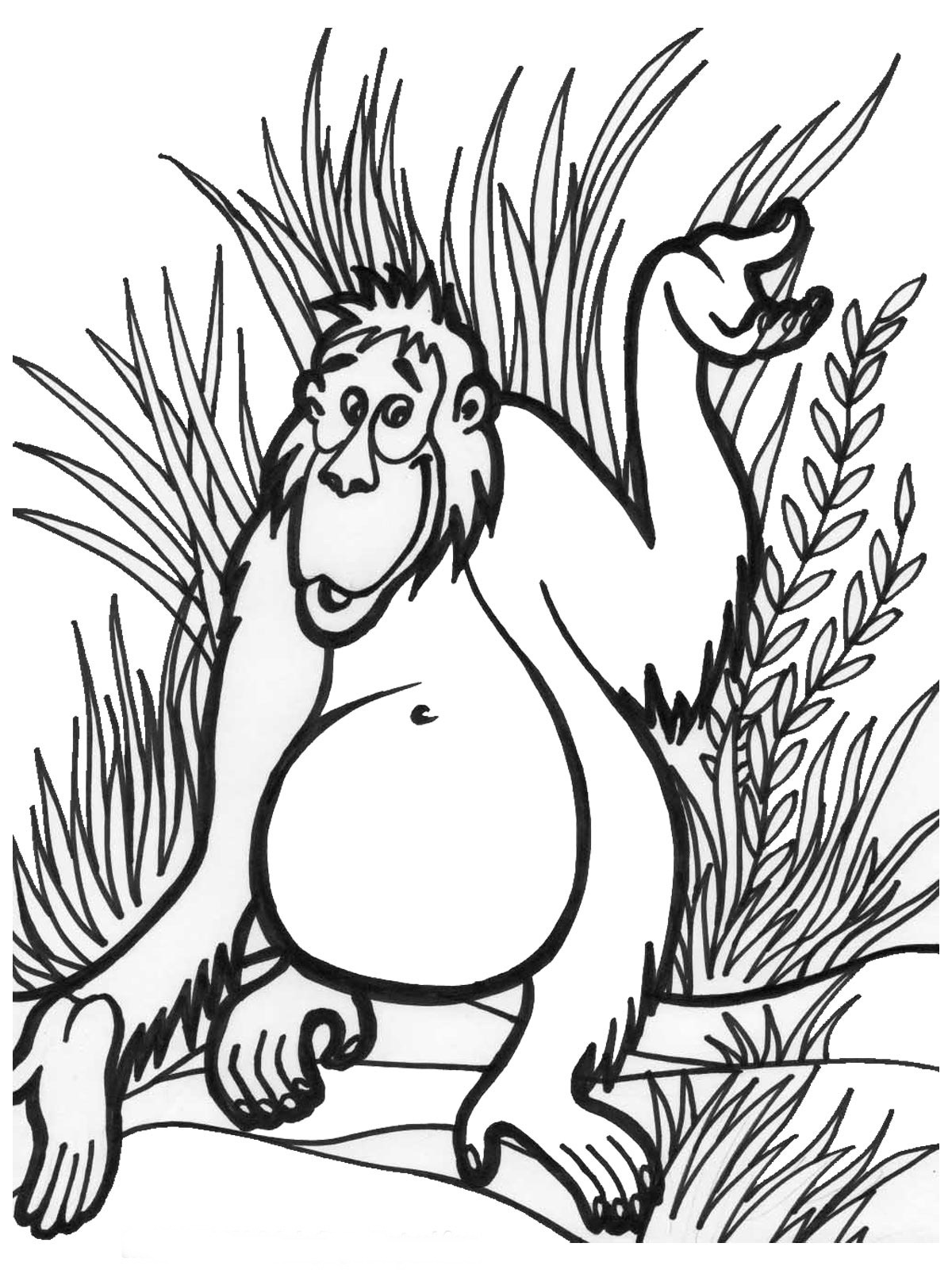 1200x1600 Impressive Jungle Coloring Sheet Coloring Pages Gallery