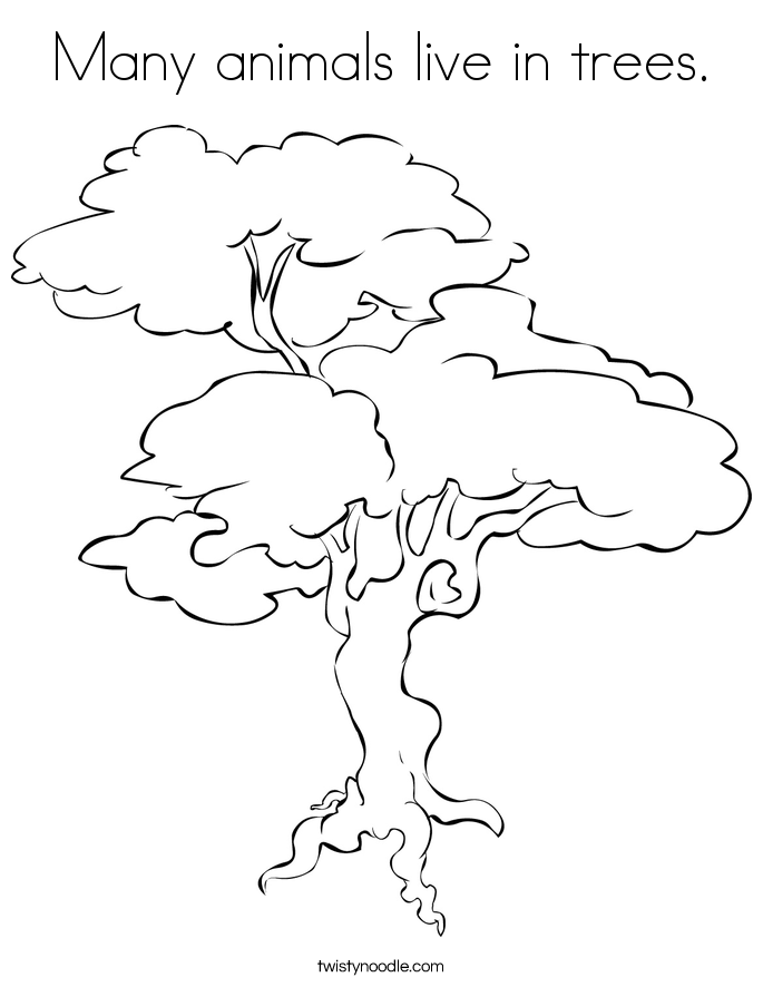 685x886 Many Animals Live In Trees Coloring Page