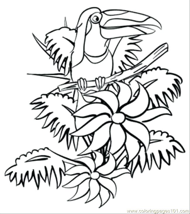 650x731 The Jungle Book Coloring Pages Jungle Book Coloring Pages To Print