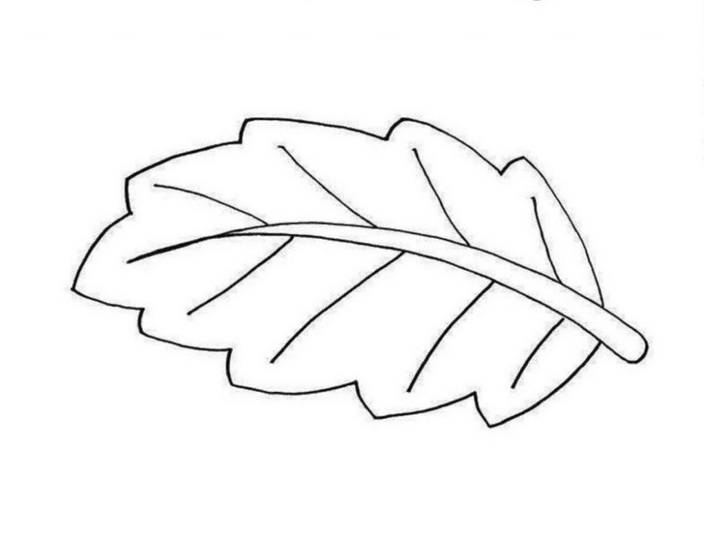 1024x781 Coloring Book Simplistic Big Leaf Coloring Pages For Leaves Easy