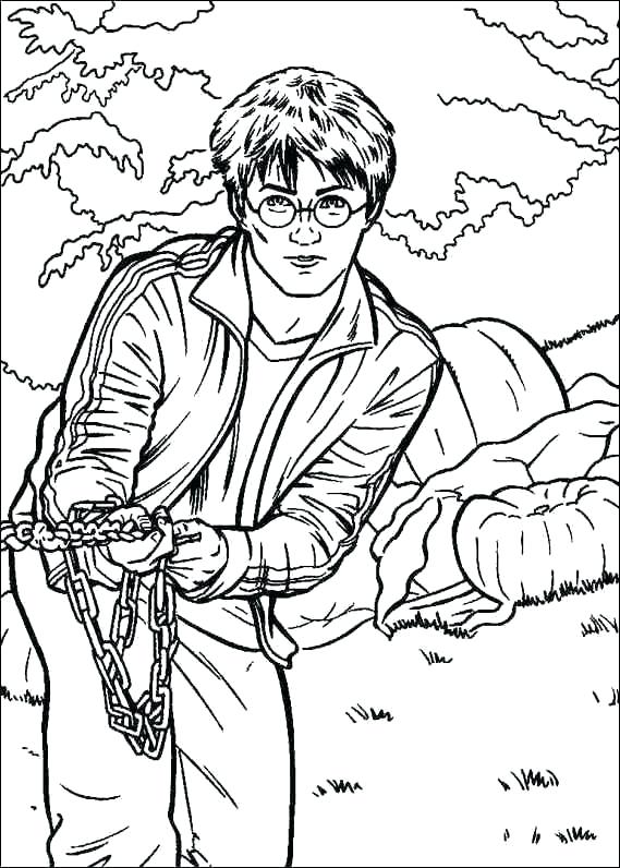 569x796 Jurassic Park Coloring Park Raptor Coloring Pages Image Cheap Park