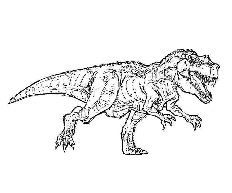 800x667 Free T Rex Coloring Pages Jurassic Park T Rex Coloring Pages