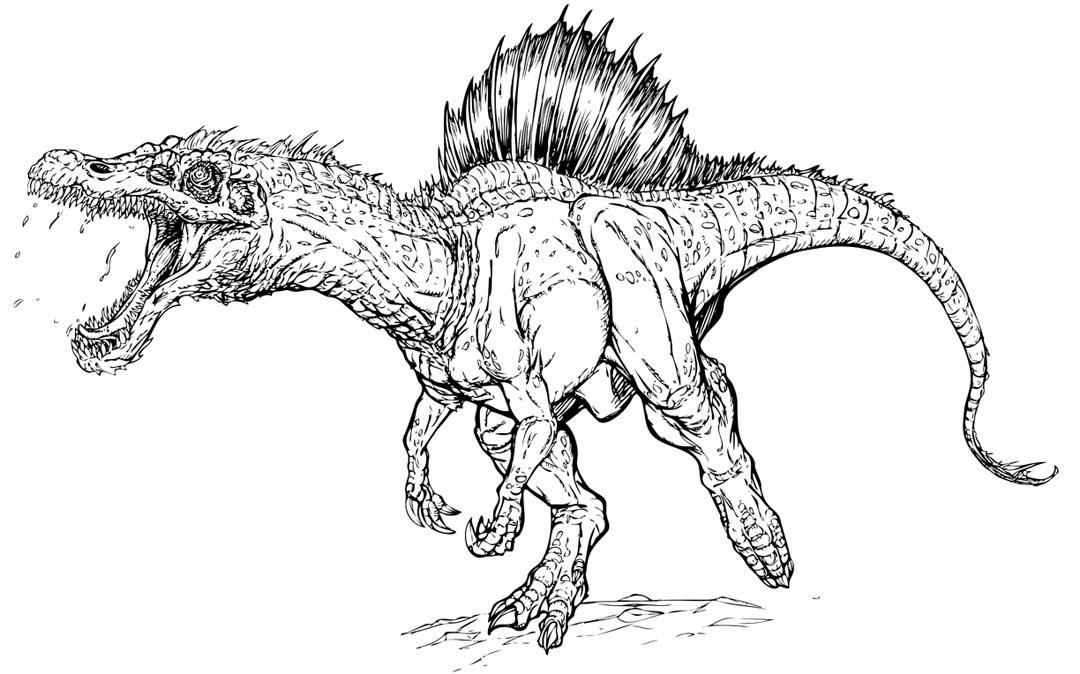 1080x674 Jurassic Park Coloring Pages Spinosaurus