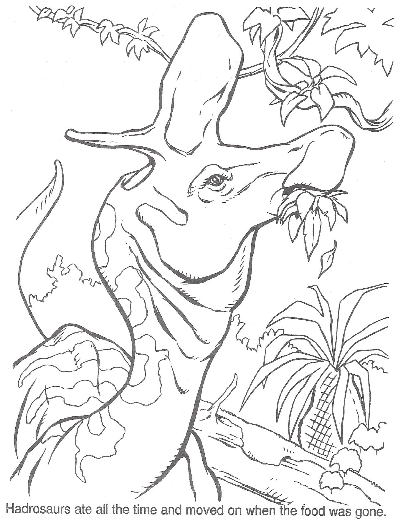 1351x1786 Jurassic Park Raptor Coloring Pages Gallery
