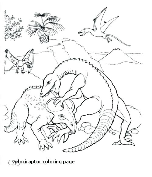 500x585 Velociraptor Coloring Pages Coloring Page Best Dinosaur Images