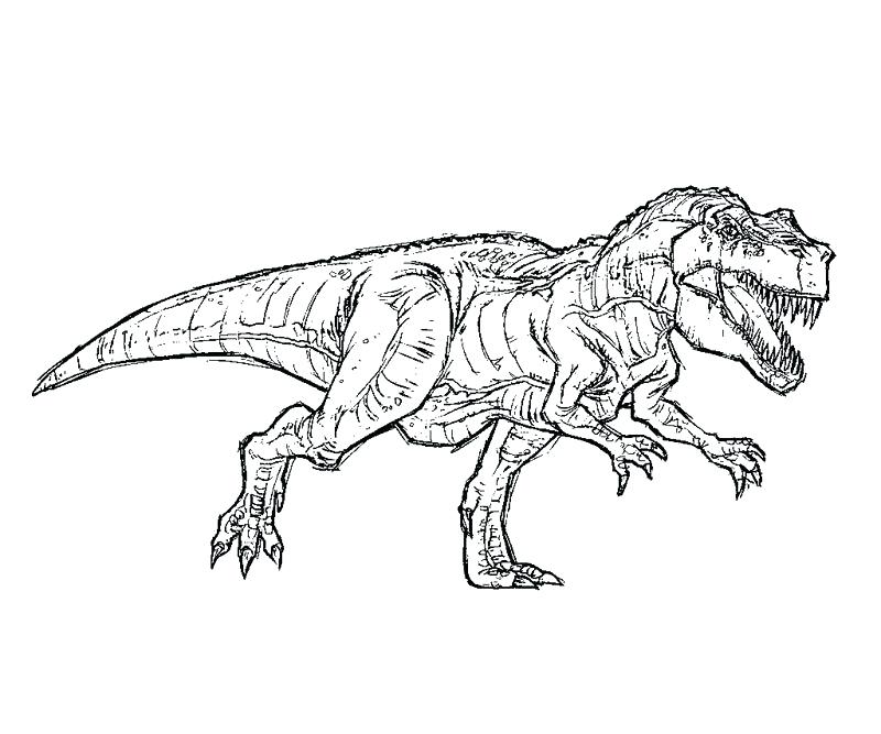 800x667 Jurassic Park Coloring Pages Icontent