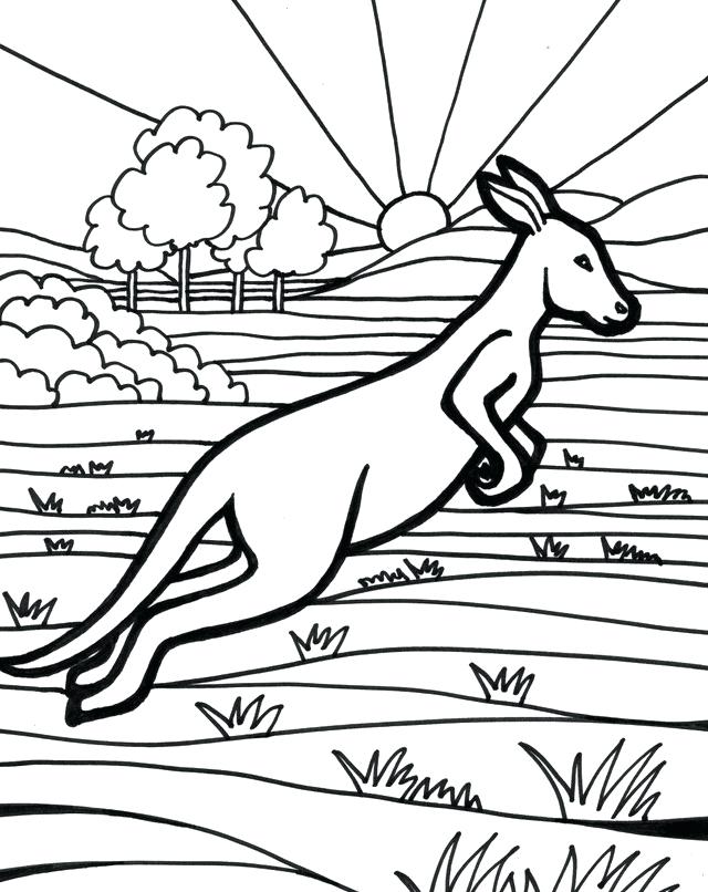 640x806 Kangaroo Coloring Page Baby Kangaroo Coloring Sheets Cartoon