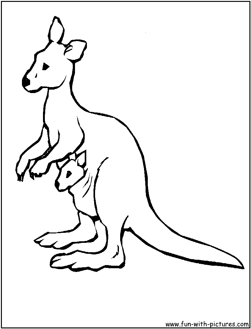 Kangaroo Coloring Page at GetDrawings | Free download