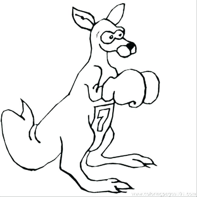 650x650 Kangaroo Coloring Page Kangaroo Coloring Pages Kangaroo Coloring