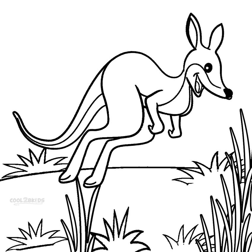 850x850 Printable Kangaroo Coloring Pages For Kids