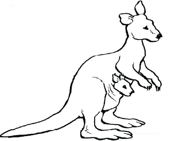 585x487 Kirby Kangaroo Coloring Pages