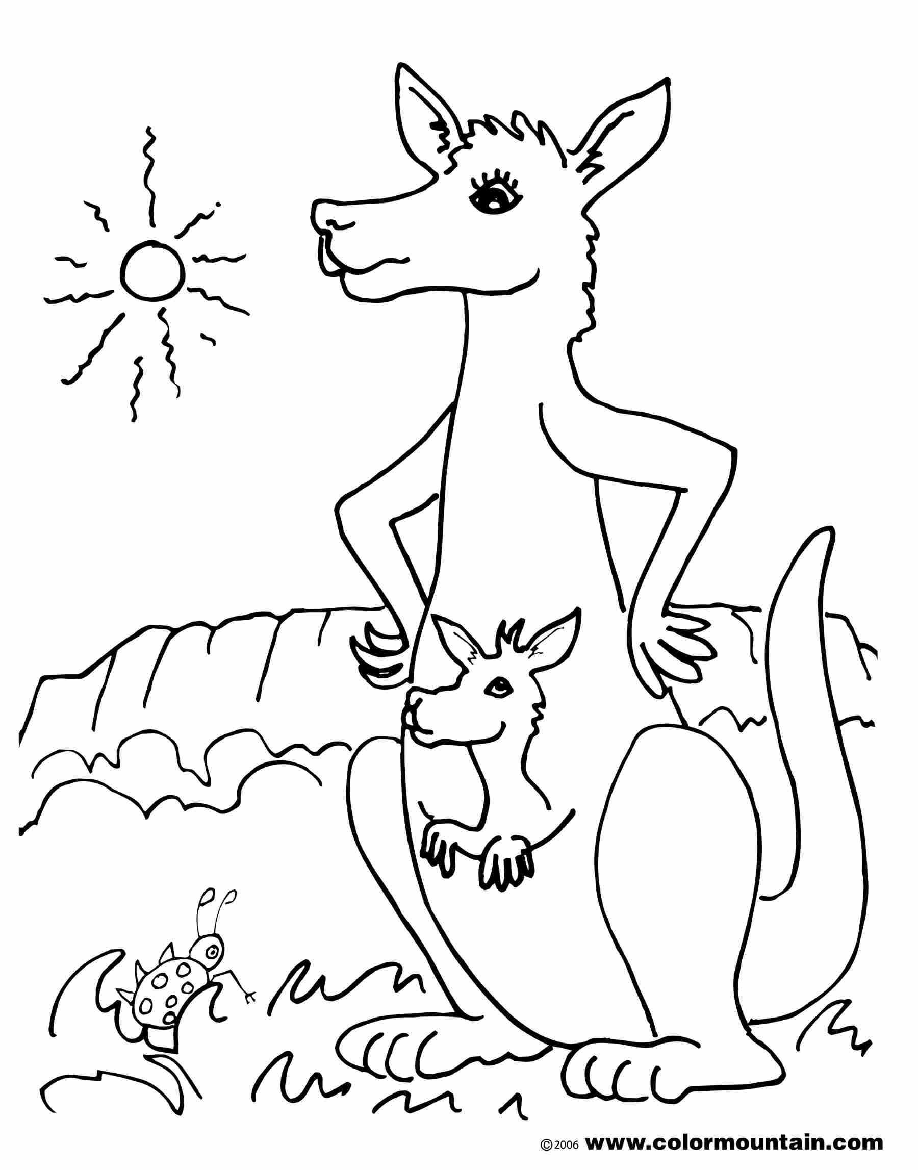 1800x2294 Free Printable Kangaroo Coloring Pages For Kids At Olegratiy