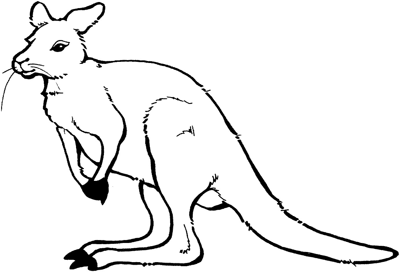 1378x937 Printable Kangaroo Coloring Pages Coloring Me