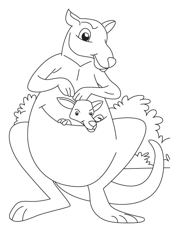 612x792 Baby Kangaroo Coloring Page Free Printable Kangaroo Coloring Pages