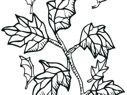 440x330 Football Helmet Coloring Pages Football Helmet Coloring Page